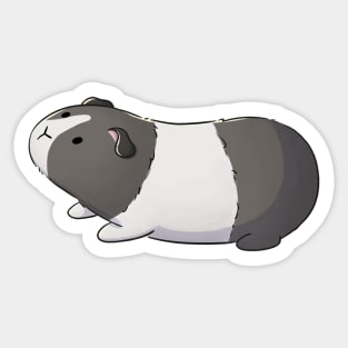 Black And White Guinea Pig Sticker